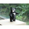 Formosan Black Bear