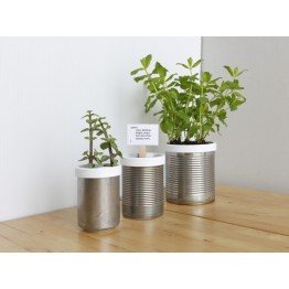 Self-Watering Planter
