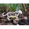 Wild Catz Modelo 3D