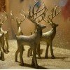 Christmas Deer 3D Model