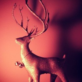 Christmas Deer 3D Model