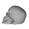Skull Earrings 3D Model