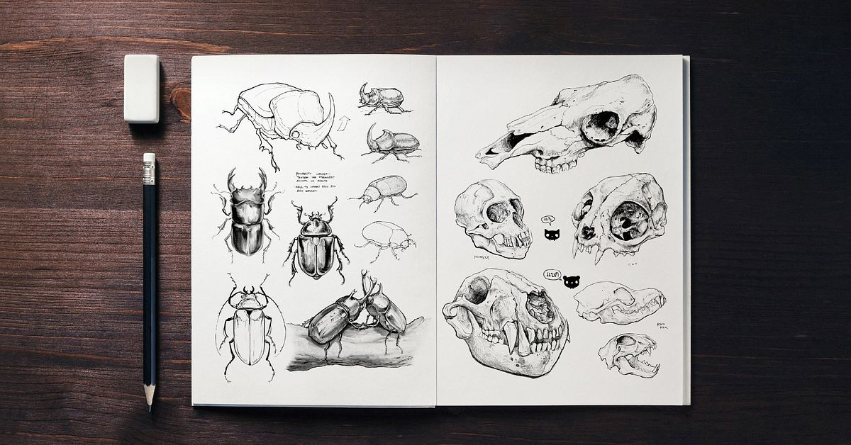Daily Sketching for Creative Inspiration image Wittystore