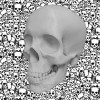 3D Skull